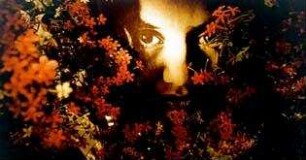 Mein Tod ist nicht dein Tod