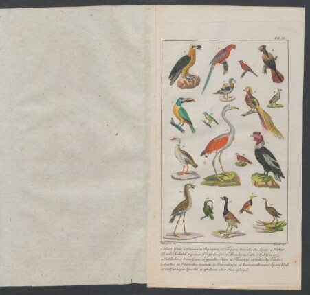 Tafel 14.