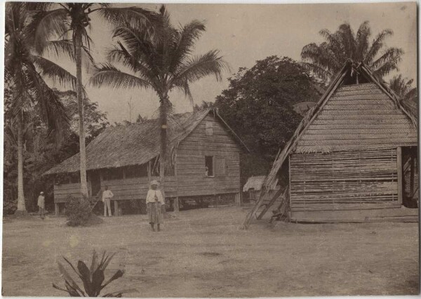 Huts of the people of Adrai, Surinam (Maroons?)