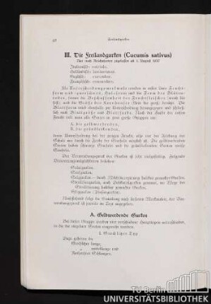 III. Die Freilandgurken (Cucumis sativus)