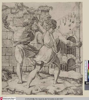 Entelli et Daret Cestuum cert