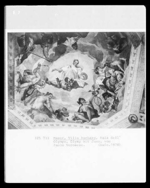 Sala dell'Olimpo — Darstellung des Olymp und Personifikationen der Jahreszeiten; Höflinge und Hofdamen auf scheinarchitektonischen Brüstungen