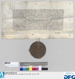 König Sigmund befreit die Nürnberger Judenschaft auf zwölf Jahre von jeder Auflage und erneuert und bekräftigt alle Privilegien derselben.