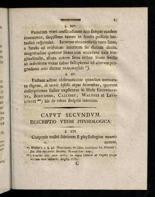 17-26, Caput Secundum (§ XVI -XL)