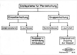 Stallsysteme für die Pferdehaltung