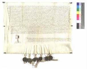 Testament des Junkers Hans von Iggingen, aufgesetzt vom Notar Johannes Baldung von Gemaind zu Gmünd
