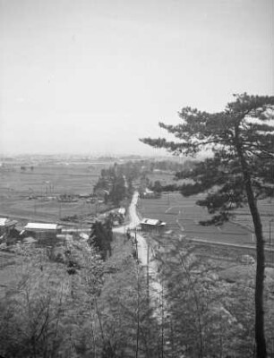 Landschaft in Toyama-ken : Landschaft in Toyama-ken. Blick über die Toyama-Ebene