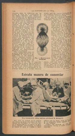 Extraña manera de comerciar - [Fotografía]
