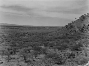 Im abessinischen Graben bei Metahara : Savannenvegetation im abessinischen Teil des Ostafrikanischen Grabenbruchs, nahe Metahara