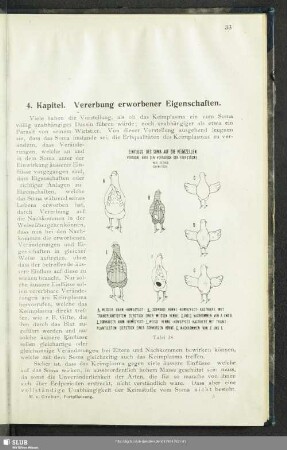 4. Kapitel. Vererbung erworbener Eigenschaften