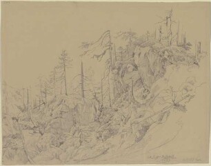 Waldlandschaft bei Hallstadt