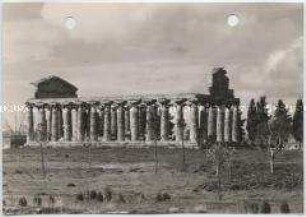 Ruinenstätte Paestum, Tempel