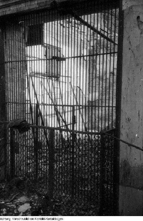 Dresden, Zoologischer Garten Dresden, kriegszerstört, August 1945
