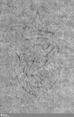 [Wasserzeichen Bl. 291]