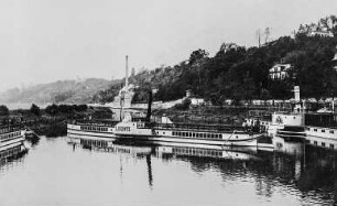 Personen-Seitenraddampfer "Loschwitz" (II, 1888, Werft Blasewitz) neuen Deutsch-Böhmischen Elbschiffahrt-Gesellschaft. Blick über den Winterhafen Dresden-Loschwitz stromab