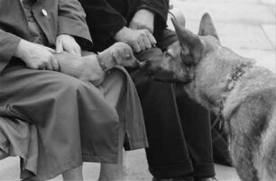 Dresden-Reick, Oskar-Röder-Str. 6. Tierklinik. Im Freien wartende Tierbesitzer mit Hunden