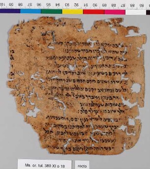 18: Mishneh Torah : Fragment