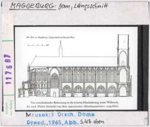 Magdeburg, Dom: Längsschnitt