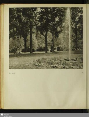 Der Brühl