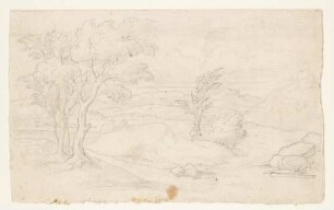 Hügelige Landschaft mit Baumgruppe