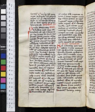 Scholastica