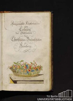 Ausgemahlte Kupfertafeln zum Catalog der Obstsorten der Christischen Baumschulen zu Kronberg. Tafel 1 bis Tafel 26.