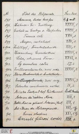 Präparate Nr. 901-1000