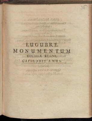 Lugubre Monumentum Ducissae Regni, Capularis Anus