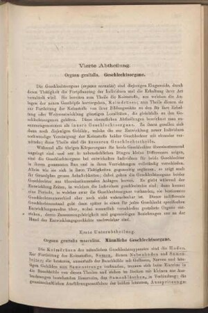 Vierte Abtheilung. Organa genitalia. Geschlechtsorgane.