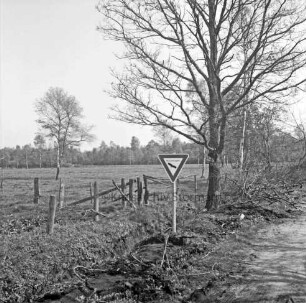 Nienwohlder Moor: Naturschutzgebiet: vorn Weg ins Moor: rechts Baum: links Holzzaun: davor Hinweisschild: im Hintergrund Moorwiesen und Sträucher