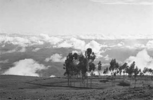 Wolken im Niltal (Äthiopienreise 1937/1938 - 7. Flugreise nach Dembi Dolo und Ausflüge ins Umland)