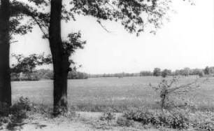 Rothenburg/O.L.-Lodenau. Ehem. Mühlteich am Ortsausgang nach Steinbach (links nicht sichtbar Schulgelände)
