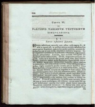 Capvt VI Partibvs Variervm Testvdinum Singvlaribvs