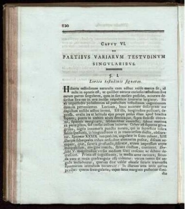Capvt VI Partibvs Variervm Testvdinum Singvlaribvs
