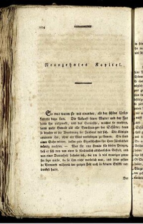 Neunzehntes Kapitel.
