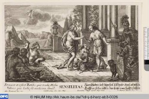 Sensilitas