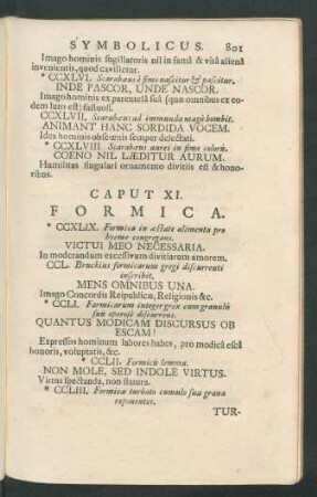 Caput XI. - XIX.