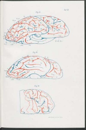 Fig. 8, Fig. 16, Fig. 18