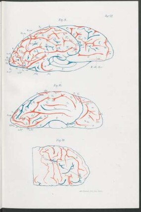 Fig. 8, Fig. 16, Fig. 18