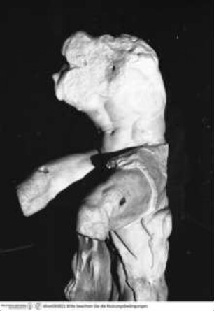Torso Belvedere