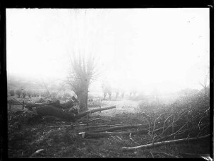 Bachlauf mit gefälltem Baum; dahinter Burgruine Weibertreu