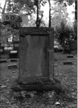 Grabstein 803