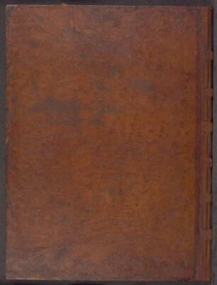 Bibel, Bd. 1: Gn 1,1-Lv 16,24 – Nürnberg, STN, Solg. Ms. 1. 2°