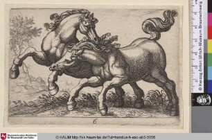 [Zwei Kämpfende Pferde; Two Horses Fighting]