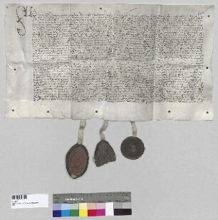 Christoph [Fürlauf], Abt von Kloster Raitenhaslach, bestätigt die Resignation von Beatrix [Zenger], Äbtissin von Kloster Seligenthal. S1: Christoph [Fürlauf], Abt von Kloster Raitenhaslach, S2: Wolfgang [Marius], Abt von Kloster Aldersbach, S3: der Konvent von Kloster Seligenthal