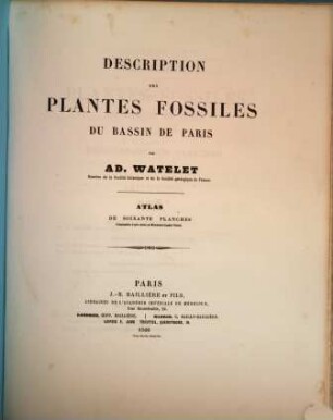 Description des plantes fossiles du Bassin de Paris, [2]. Atlas