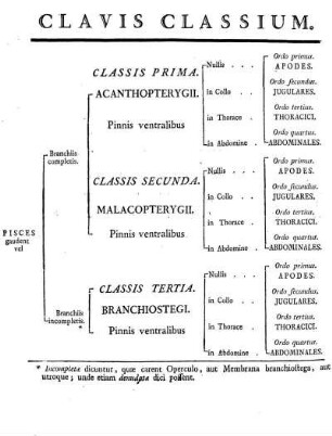 Clavis Classium