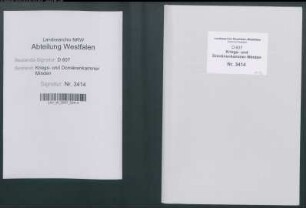 Reparatur der Kirchhofsmauer der Marienkirche zu Minden