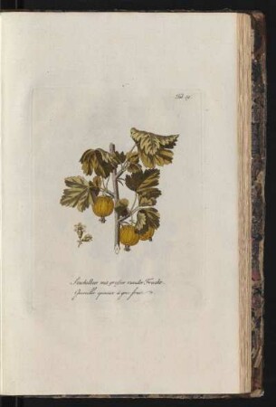 Tab. 39