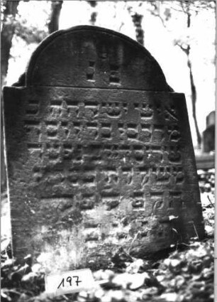 Grabstein 197 (Index: 99803260) Material: Sandstein Zustand: unten verwittert Maße HxBxT: 94x73x11 cm Beschreibung: Stele mit eingezogenem Rundbogen: Grabstein 197